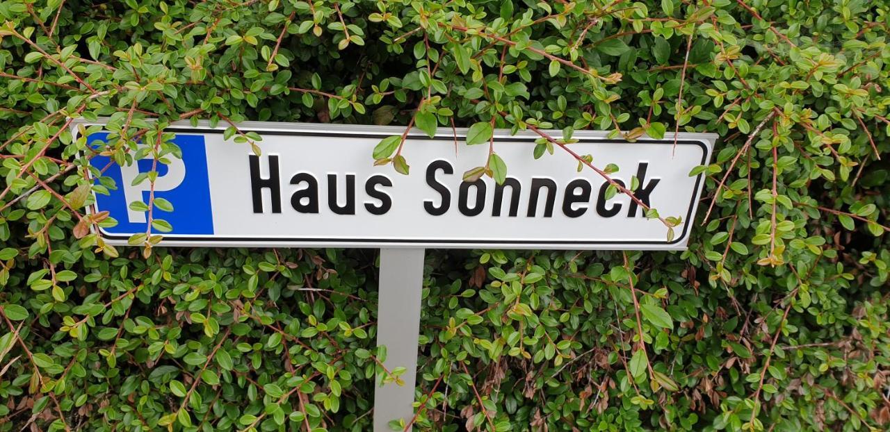 Sonneck Schonach Daire Schonach im Schwarzwald Dış mekan fotoğraf