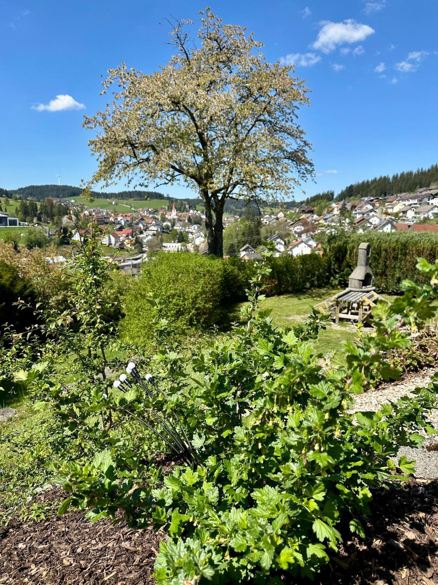 Sonneck Schonach Daire Schonach im Schwarzwald Dış mekan fotoğraf