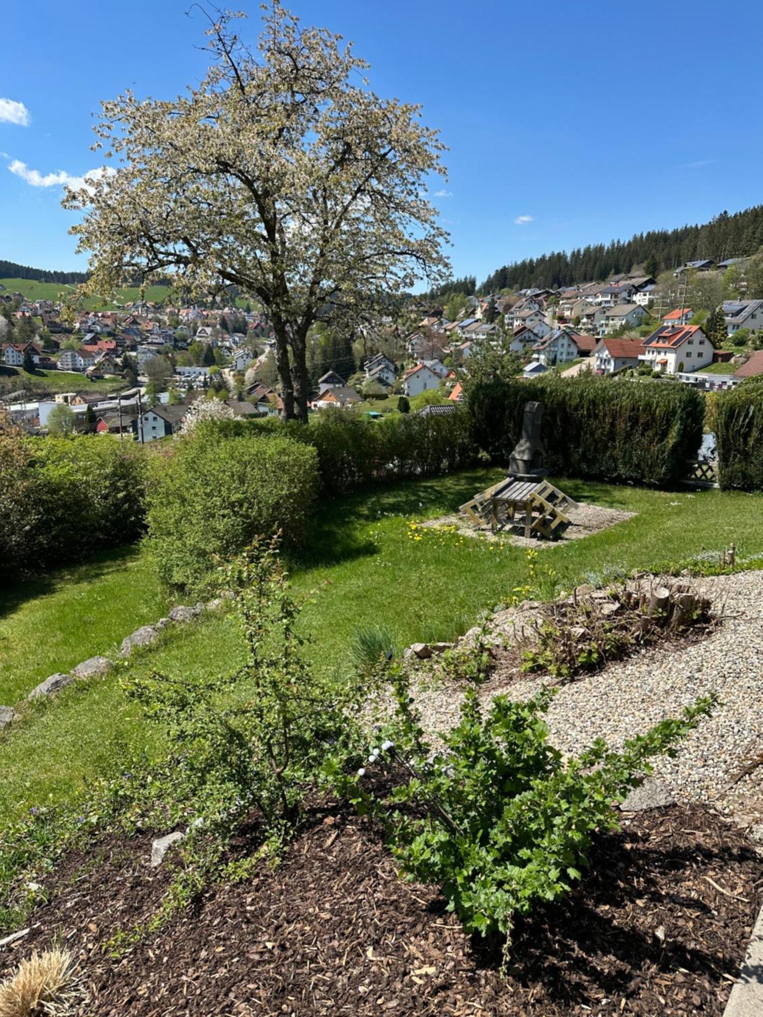 Sonneck Schonach Daire Schonach im Schwarzwald Dış mekan fotoğraf
